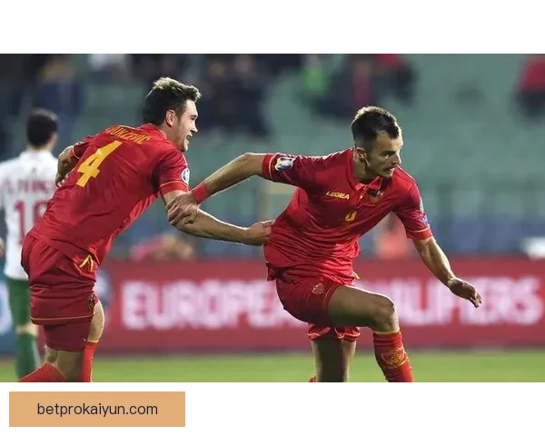 冰岛防守纪录令人瞩目，球队状态回暖，未来赛事值得关注。