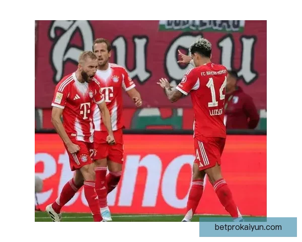 德甲阵容完善进程逐步推进，球队竞争力增强备受关注